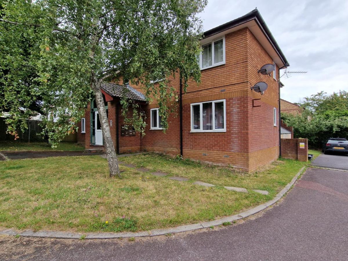 Teigngrace Comfy Apartment, Self Check-In 24H-Day, 7Days-Week, Sleep 4 - In Devon, Dartmoor, Near A38 מראה חיצוני תמונה